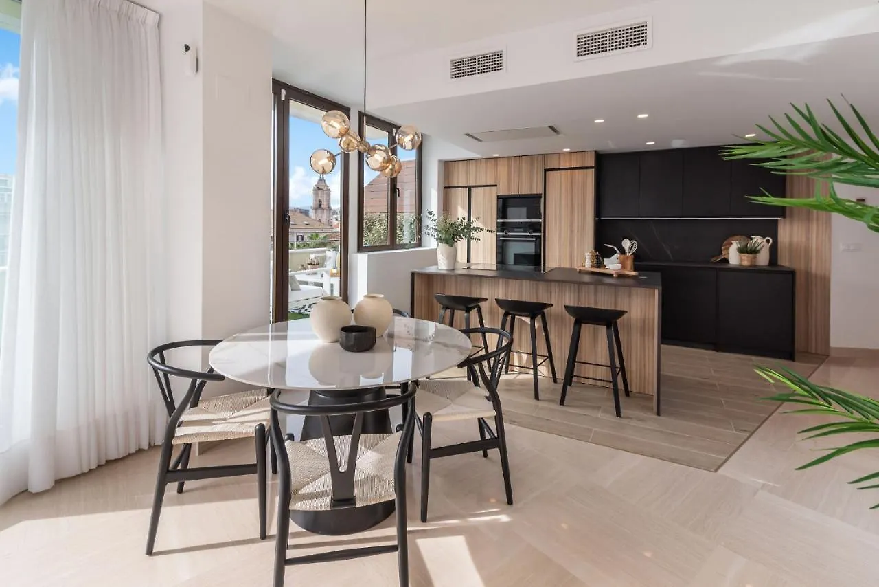 Exclusive Penthouse & Terrace By Ele Apartments Malaga